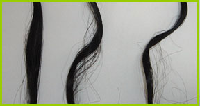 �E�F�[�u�E�J�[��